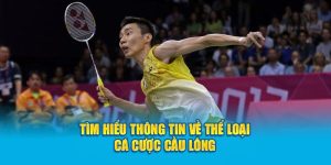 Tìm hiểu thông tin về thể loại cá cược cầu lông