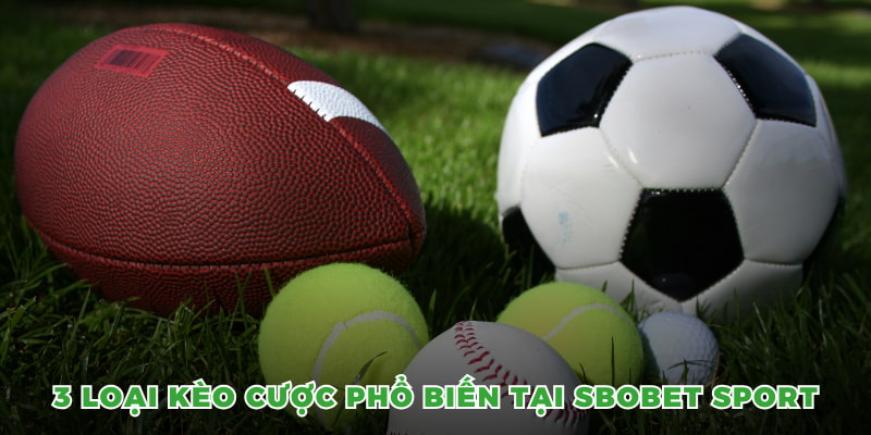 3 loại kèo cược phổ biến tại Sbobet sport